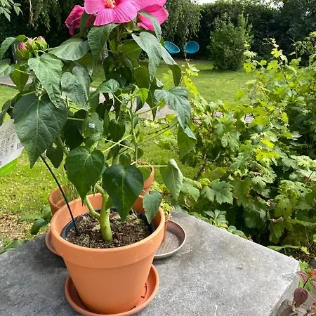 La Hacienda Valkenburg aan de Geul